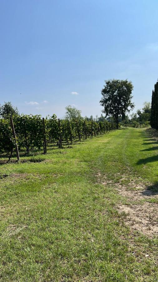 Cà Vittoria Desenzano del Garda Exterior foto